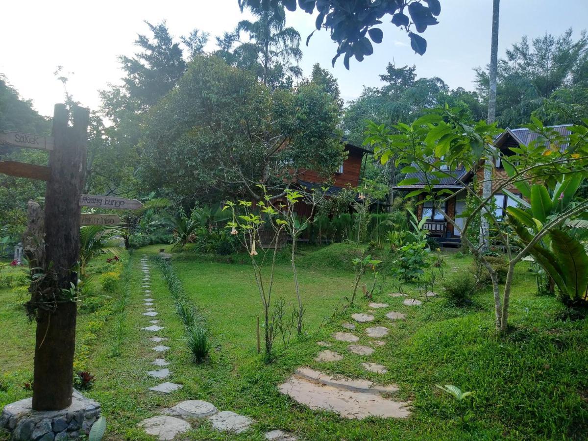 Canyon Jungle Stay Букитинги Екстериор снимка