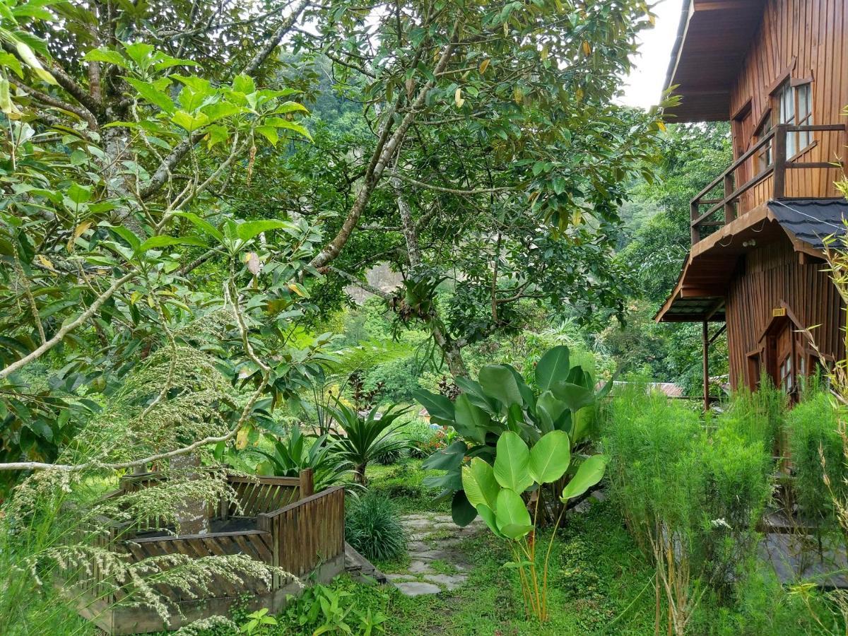 Canyon Jungle Stay Букитинги Екстериор снимка