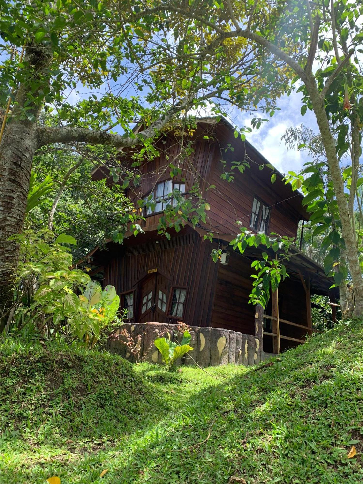 Canyon Jungle Stay Букитинги Екстериор снимка