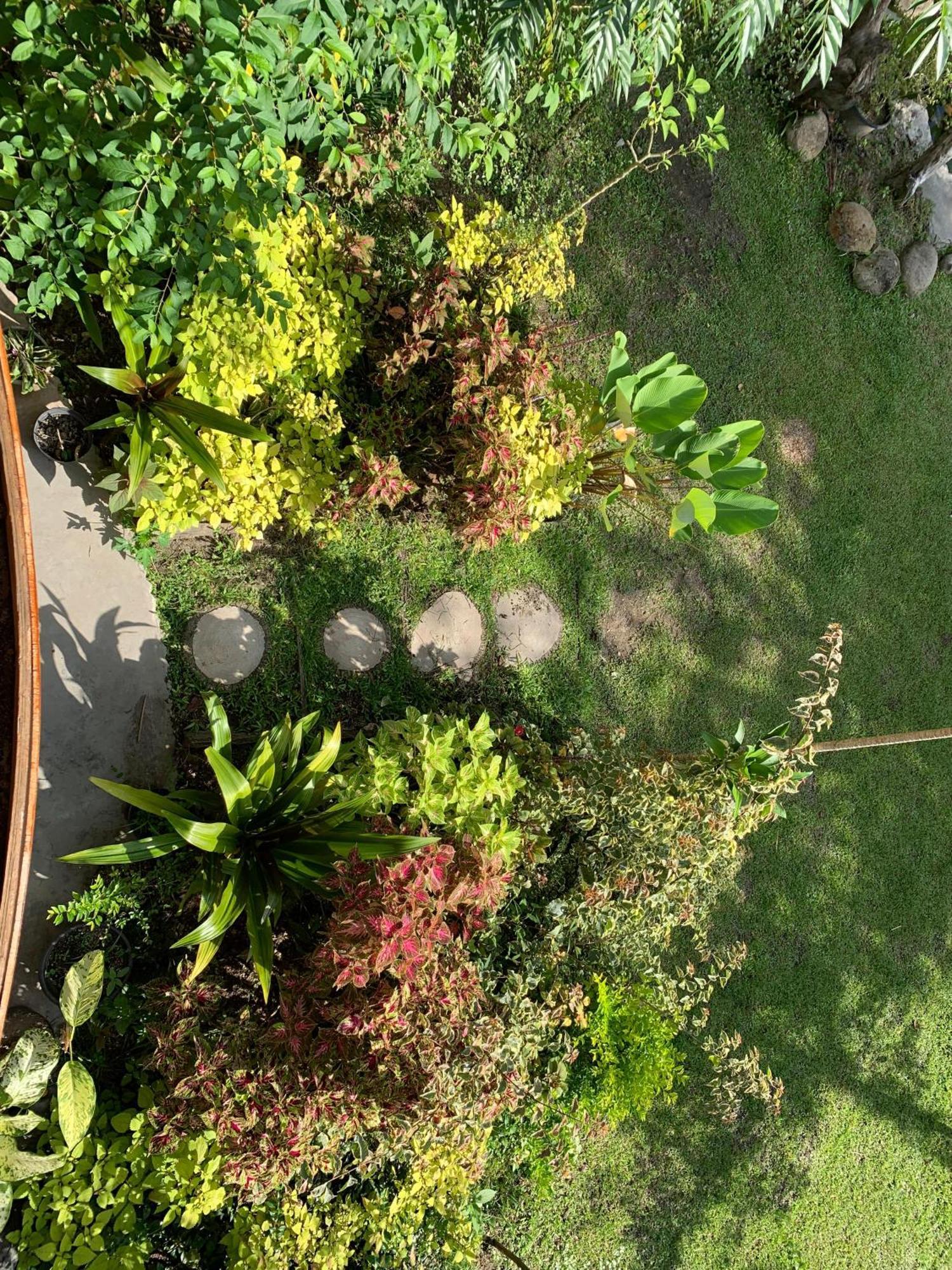 Canyon Jungle Stay Букитинги Екстериор снимка